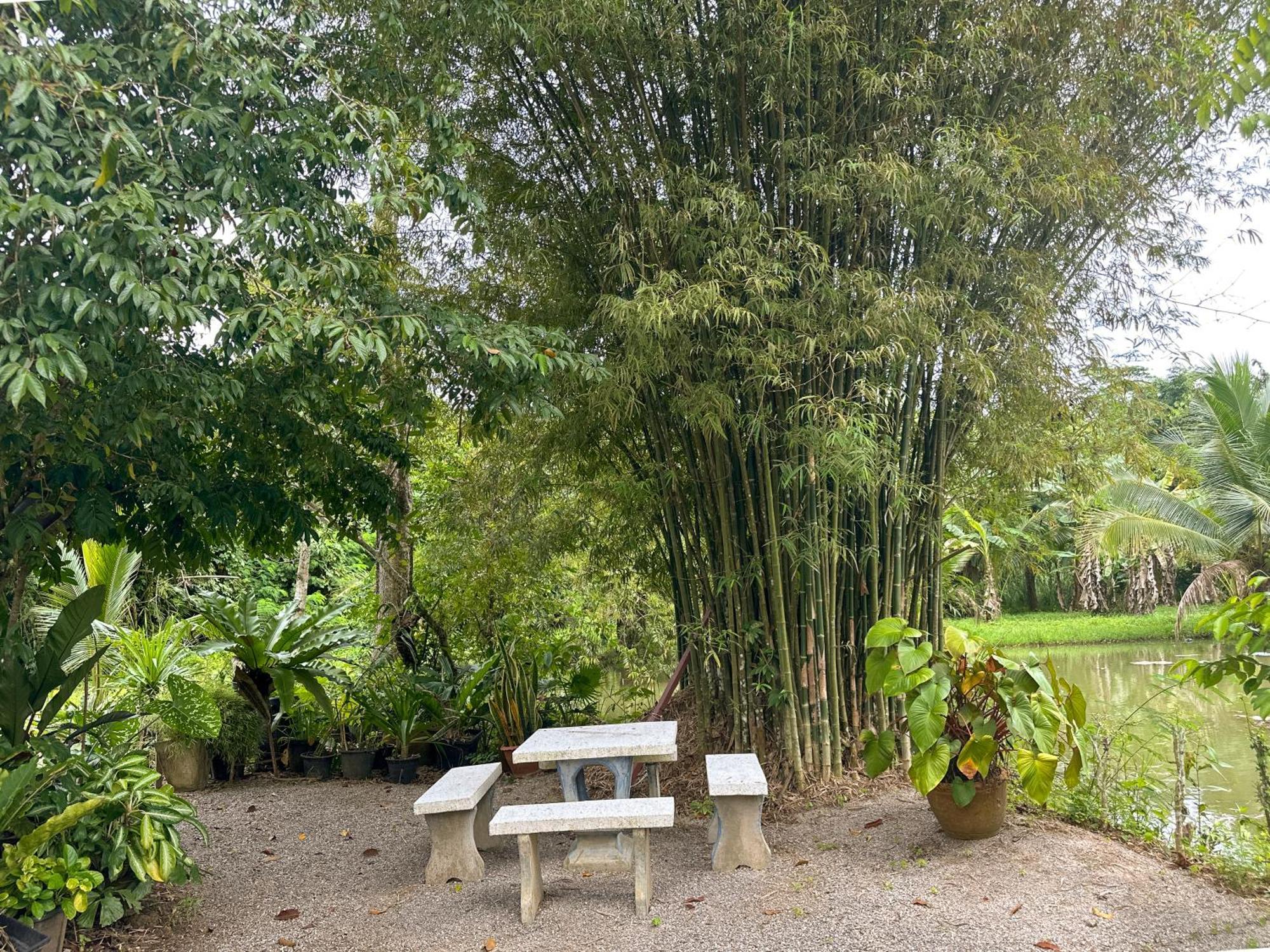 Baan Panmala Guesthouse - Ao Luek, Krabi town Eksteriør bilde